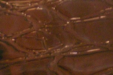 braunviolettes Craqueleé-Glas,